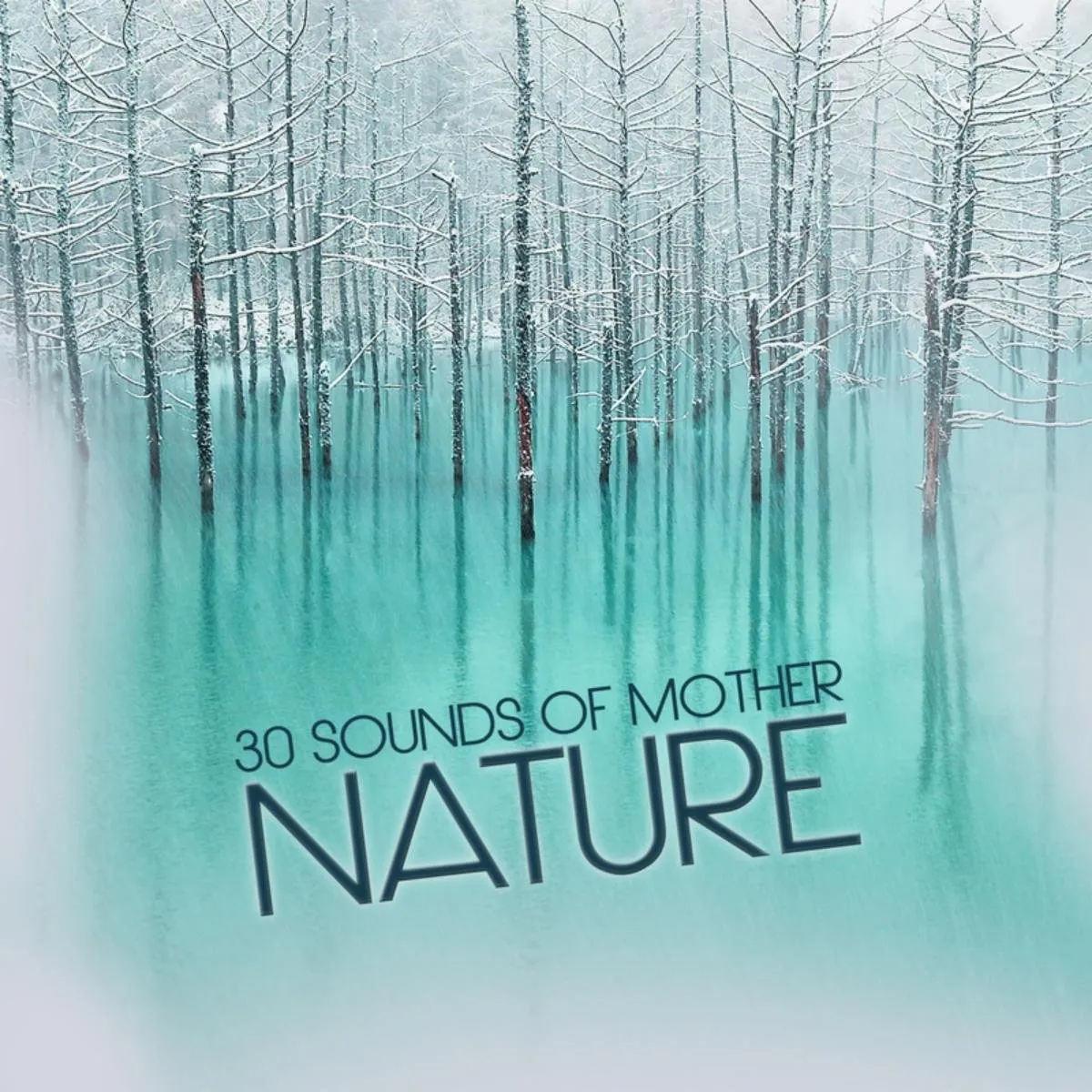 30 Soothing Sounds from Mother Nature - Relaxation and Meditation Audio Collection