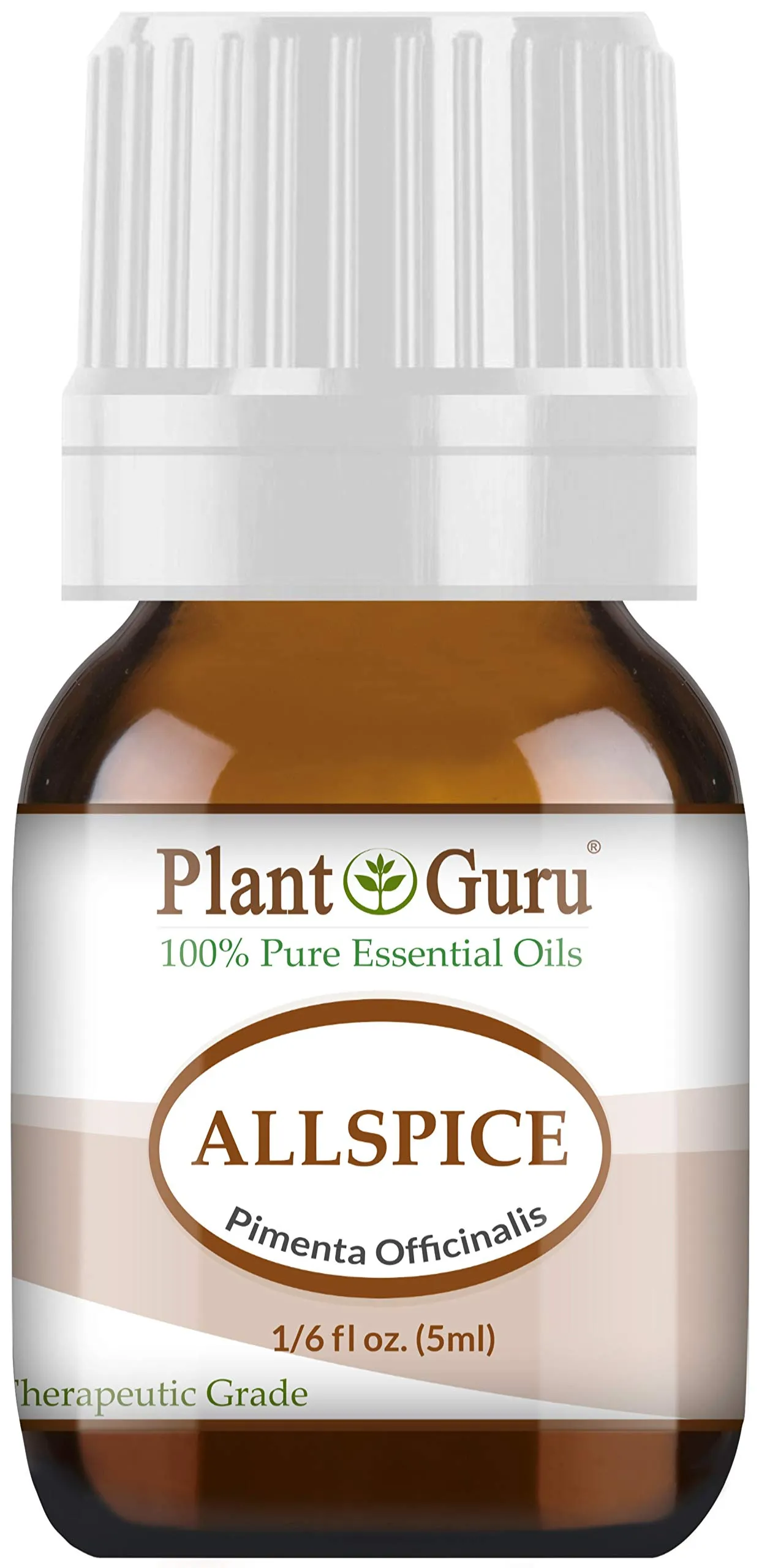 Allspice Essential Oil 5ml - 100% Pure Therapeutic Grade, Natural Aroma from Jamaica