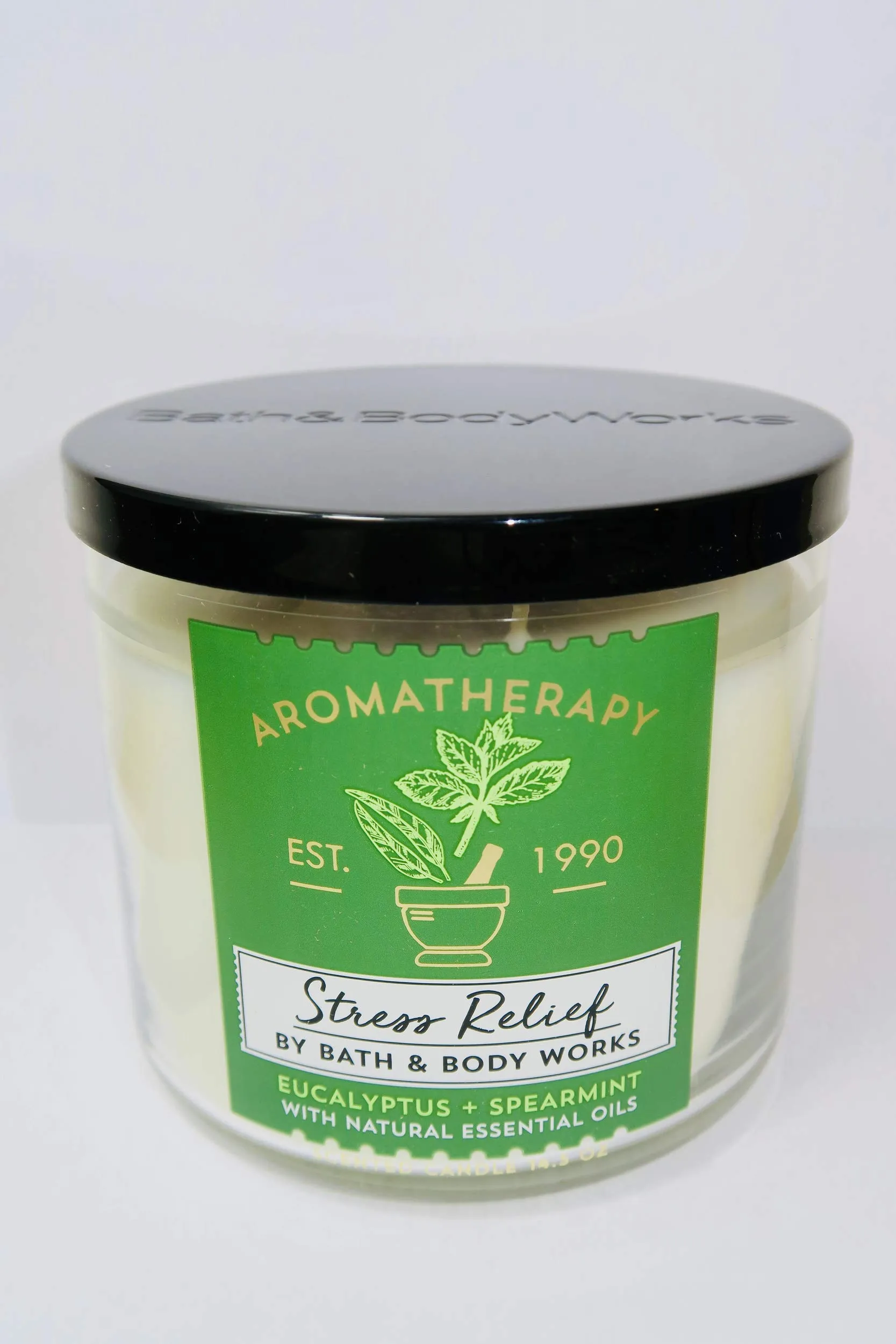 Aromatherapy Stress Relief Candle - Eucalyptus & Spearmint Scent - Seasonal Artwork Variation