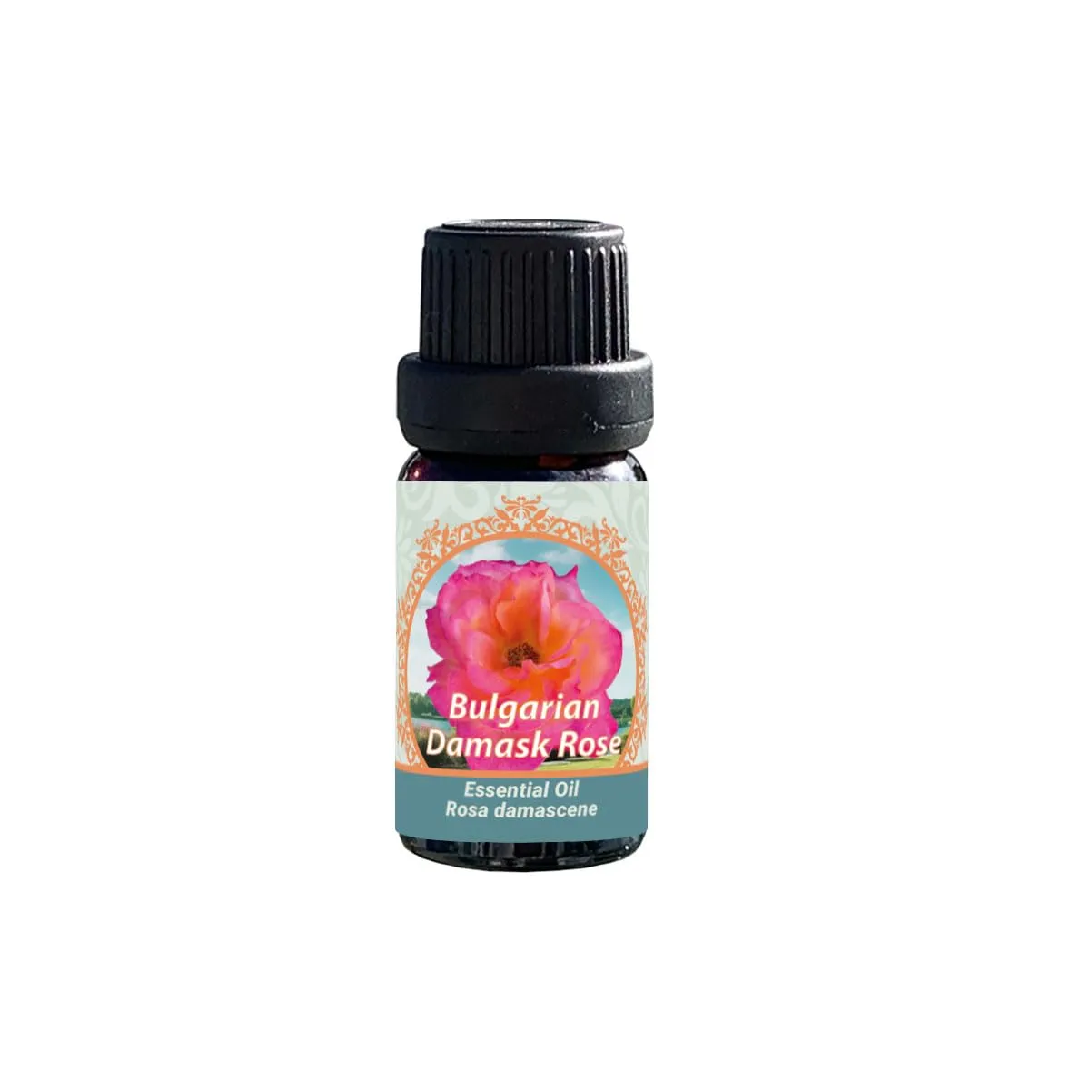 Bulgarian Damask Rose Essential Oil, 100% Pure Therapeutic Grade, 10ml, Hydro Distilled