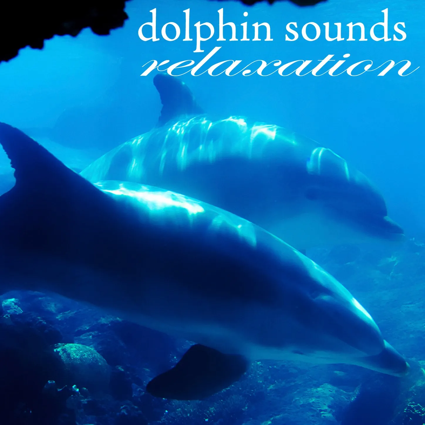 Calming Sounds for Relaxation and Sleep - Perfect for All Ages