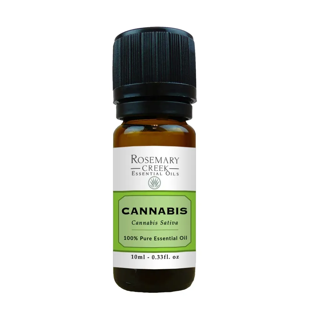 Cannabis Essential Oil 10ml – 100% Pure & Natural – Great for Relaxation & Aromatherapy