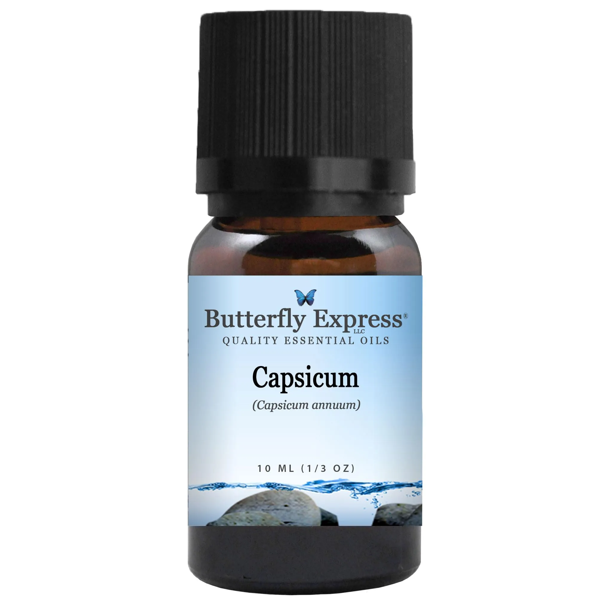 Capsicum Essential Oil 10ml - 100% Pure Uncut Aromatherapy Oil by Butterfly Express