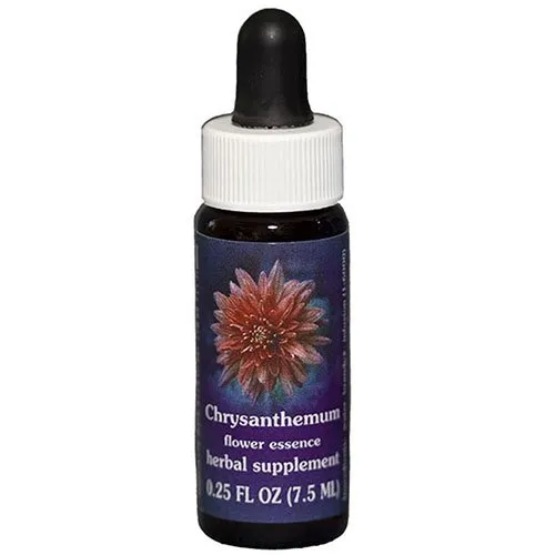 Chrysanthemum Flower Essence 0.25 oz Multi-Pack - Healing Energy & Vibrant Wellness Boost