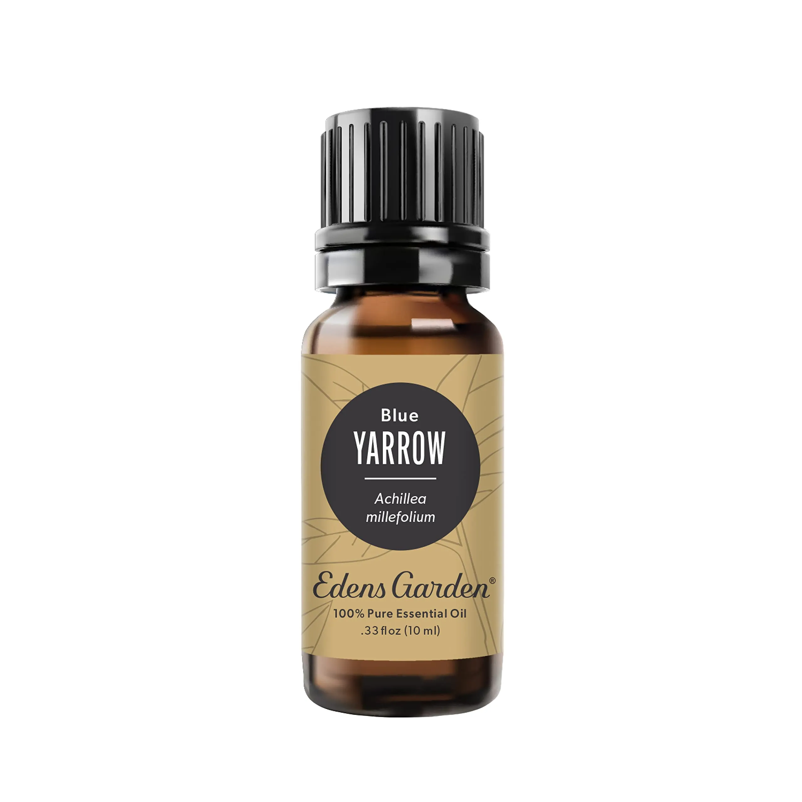 Edens Garden Yarrow-Blue Essential Oil 10ml - 100% Pure Therapeutic Grade Aromatherapy Oil