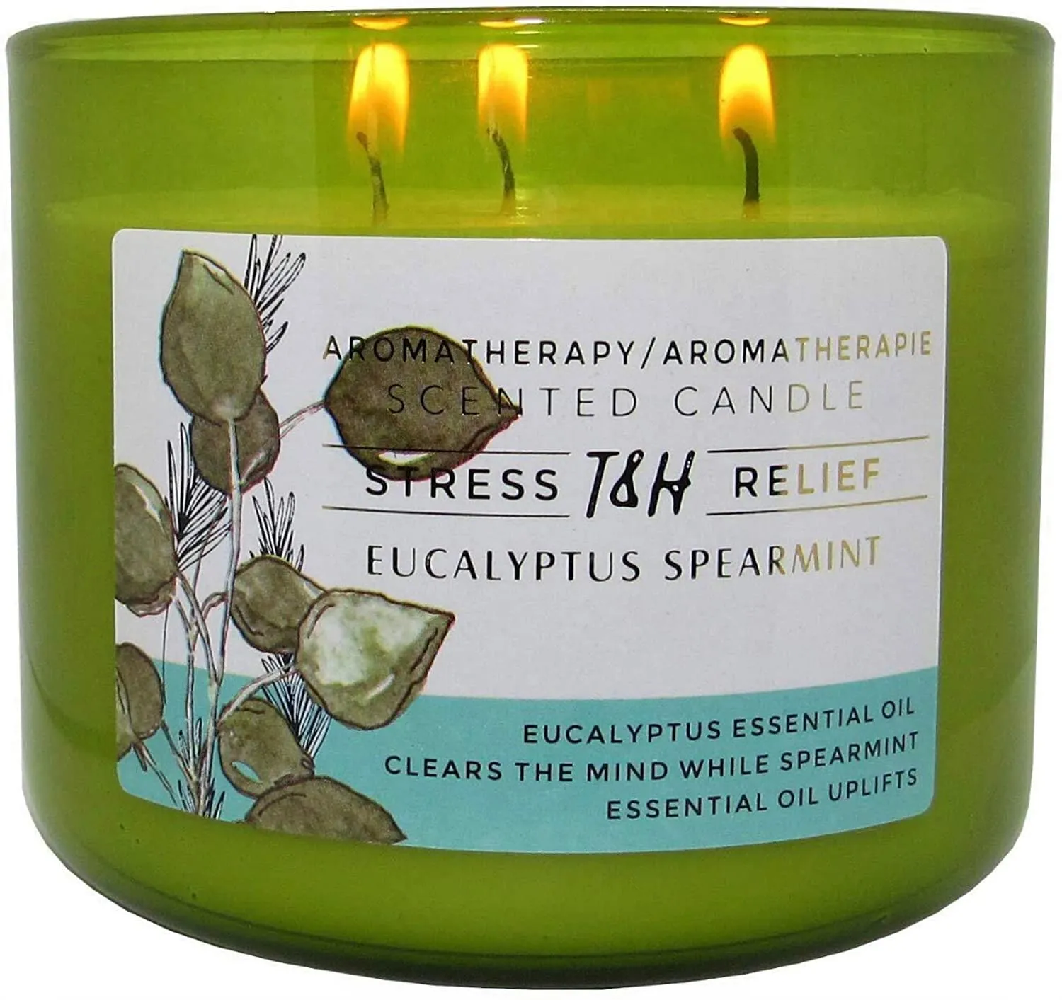 Eucalyptus Spearmint Aromatherapy Candle 3-Wick