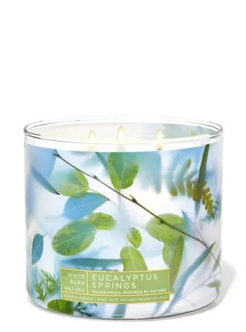 Eucalyptus Springs 3-Wick Candle 14.5 Ounce - Fresh Eucalyptus, Spring Water & Lavender Aromatherapy