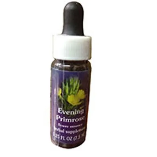 Evening Primrose Flower Essence 0.25 oz Multi-Pack - Certified Organic Herbal Supplement