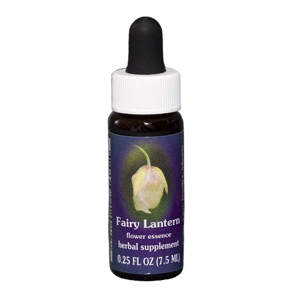 Fairy Lantern Flower Essence Multi-Pack 0.25 oz for Emotional Balance and Well-Being