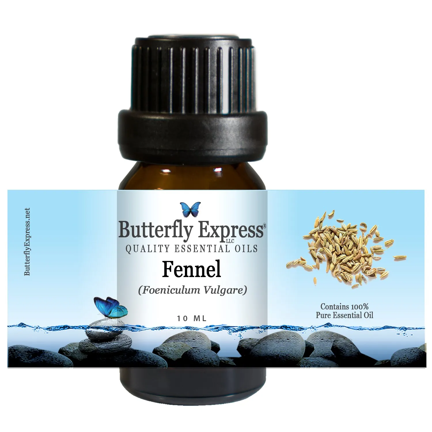 Fennel Essential Oil 10ml - 100% Pure Aromatherapy Oil by Butterfly Express