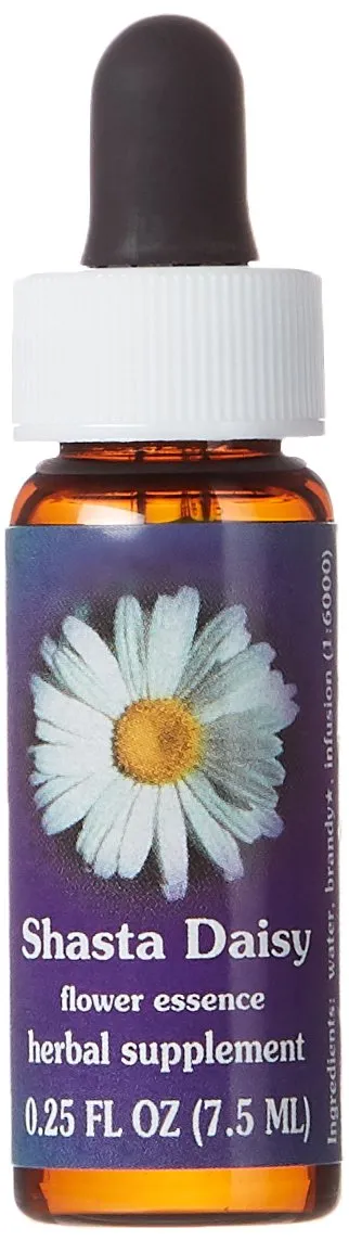 FES Quintessentials Shasta Daisy Dropper 0.25oz - Flower Essence for Mind-Body Wellness