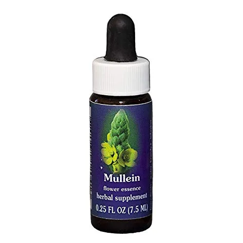 Flower Essence FES Quintessentials Mullein Supplement Dropper 0.25 fl oz - Emotional Wellness