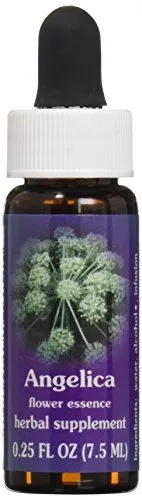 Flower Essence Services Angelica Essence, 0.25 Ounce - Spiritual Protection & Guidance Liquid