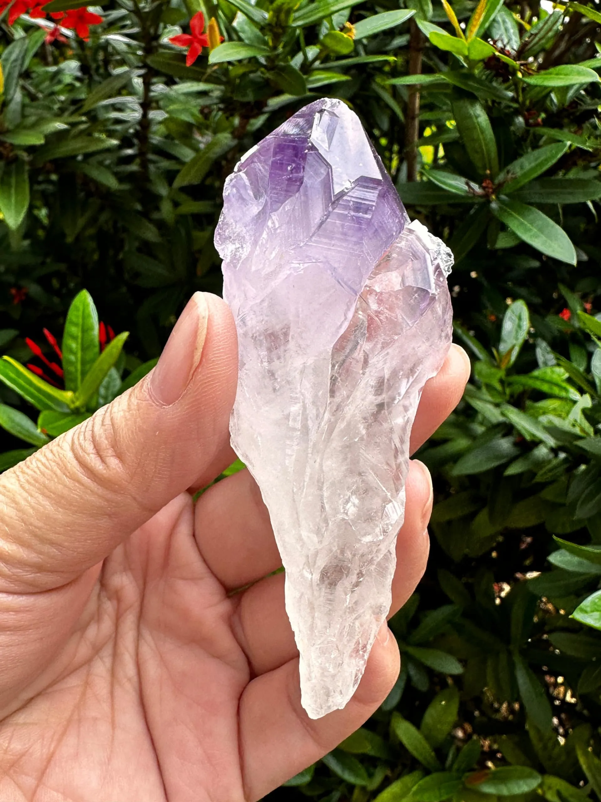 GAF TREASURES Wholesale Amethyst Points 2-3' Natural Raw Healing Crystals for Meditation