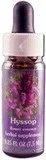 Hyssop Dropper 1 Oz - Body-Soul Integration, Forgiveness, Flower Essence Services