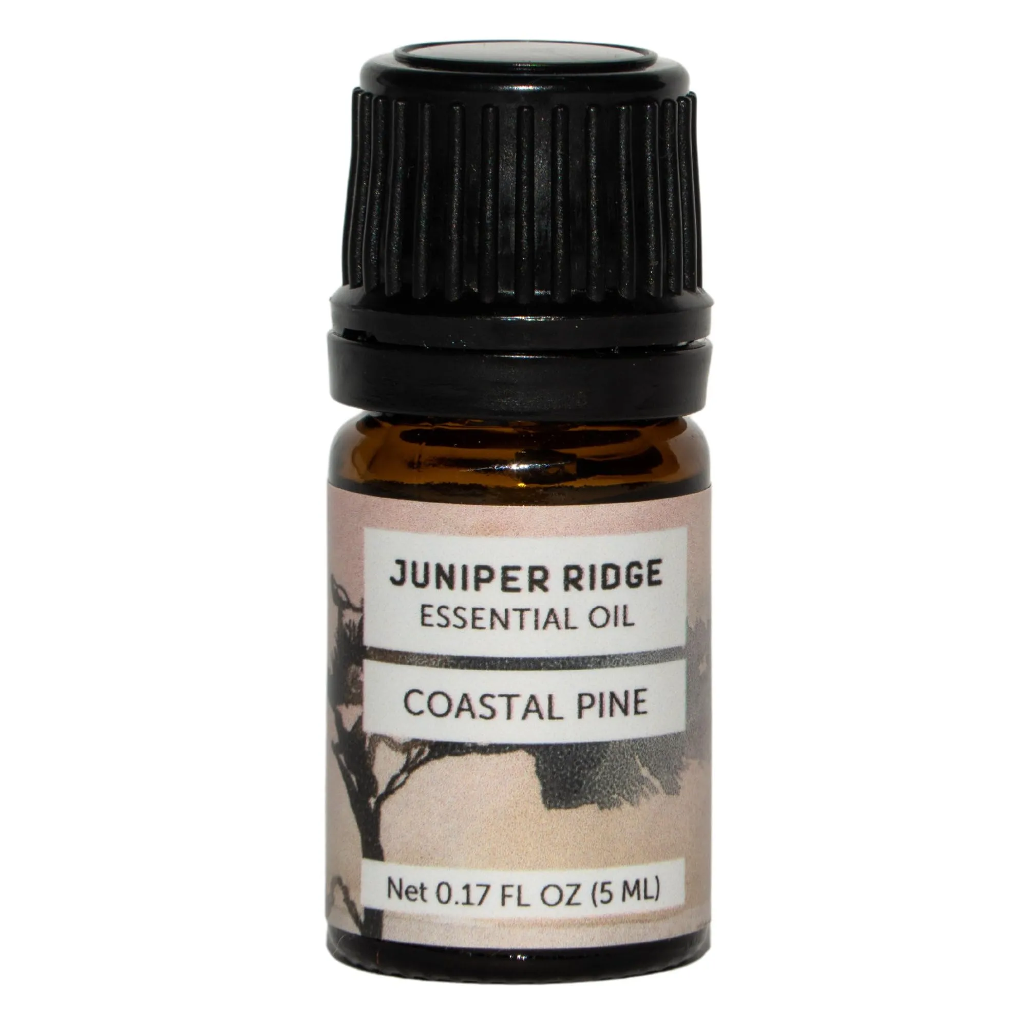 Juniper Ridge Coastal Pine Essential Oil - Refreshing Pine & Citrus Fragrance - 5ml