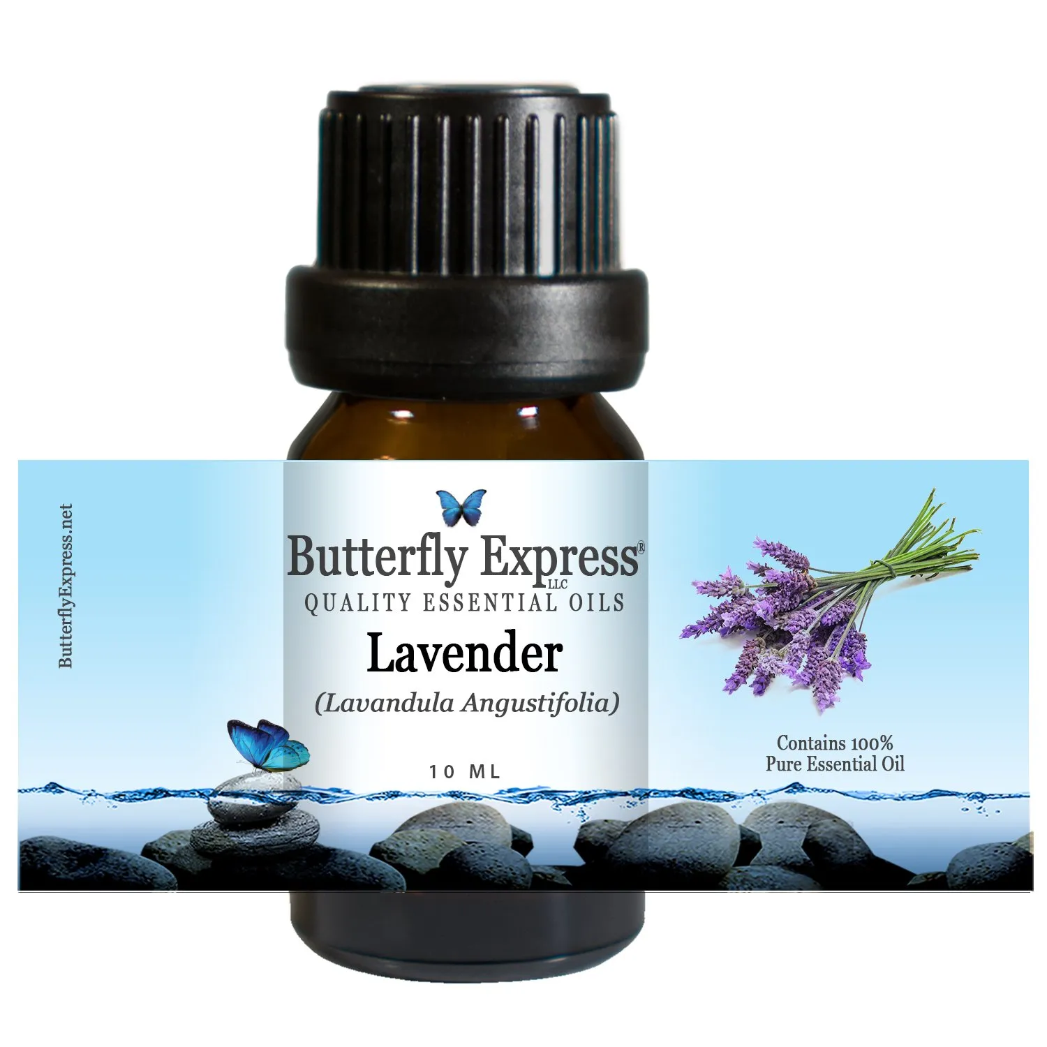 Lavender Essential Oil 10ml - 100% Pure, Uncut, Aromatherapy by Butterfly Express