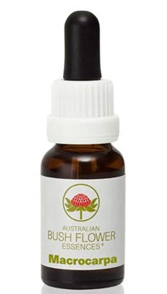 Macrocarpa 15mL Essence - Australian Bush Flower for Energy, Enthusiasm & Inner Strength