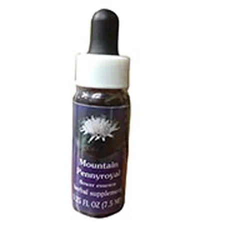 Mountain Pennyroyal Flower Essence - 0.25 oz. Multi-Pack for Clarity, Strength & Positivity