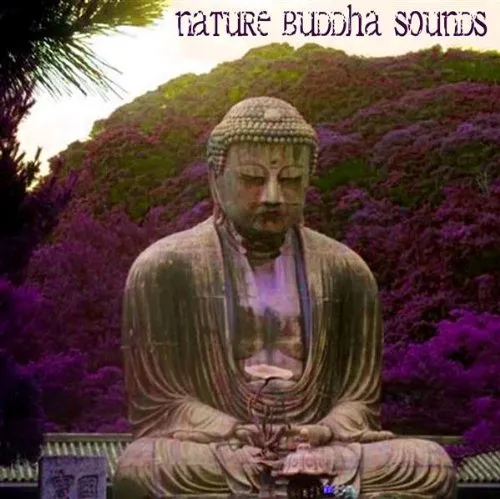 Nature Buddha Sounds - Calming Audio Experience for Relaxation and Meditation