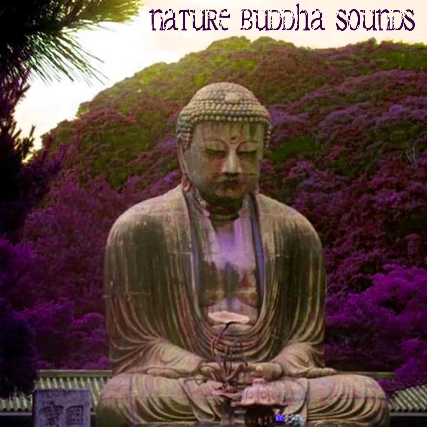 Nature Buddha Sounds Meditation Audio for Relaxation and Mindfulness