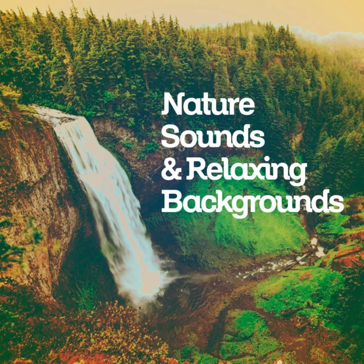 Nature Sounds & Relaxing Backgrounds for Calmness and Focus