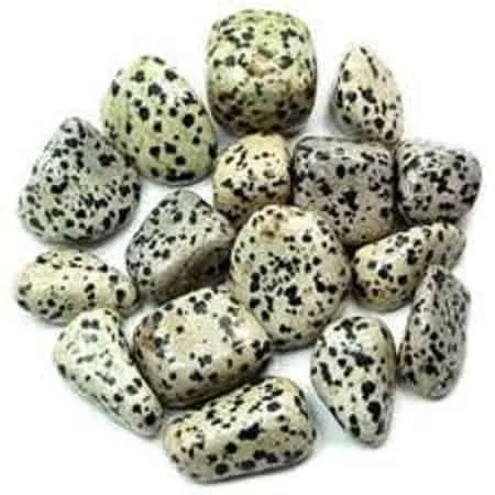 Pachamama Essentials Dalmatian Jasper Tumbled Healing Stones 20-25mm - Set of 5