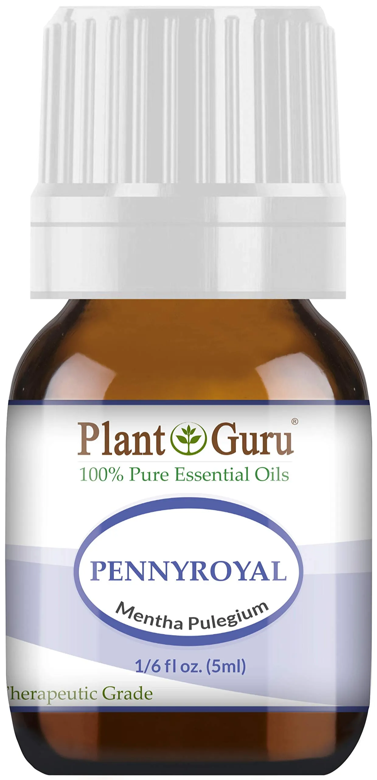 Pennyroyal Essential Oil 5ml - 100% Pure Mentha Pulegium, Therapeutic Grade, No Additives