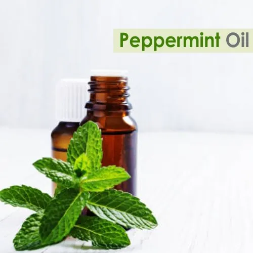 Pure & Natural Mentha × Piperita for Hair, Skin & Aromatherapy