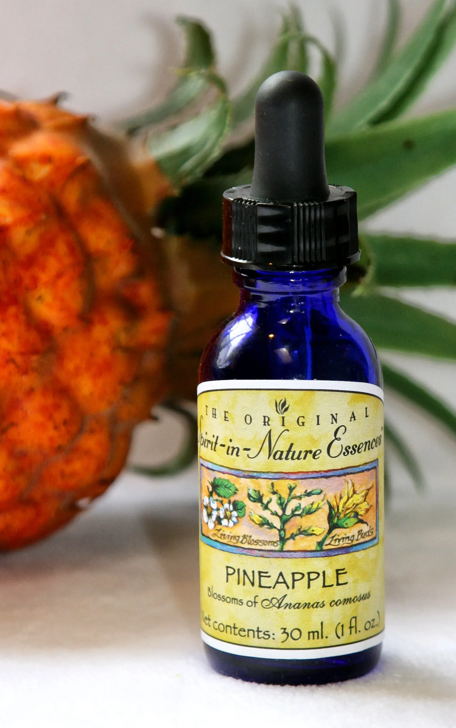 Pineapple Spirit-in-Nature Flower Essence 1/2 oz. for Self-Assurance, Prosperity & Abundance