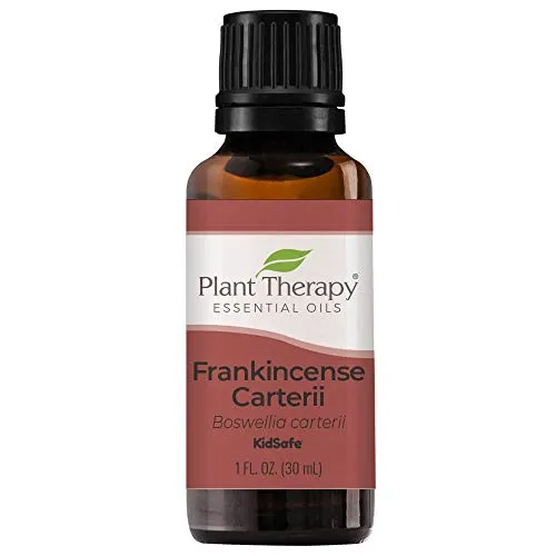 Plant Therapy Frankincense Carterii Essential Oil 30 mL - 100% Pure, Natural Aromatherapy