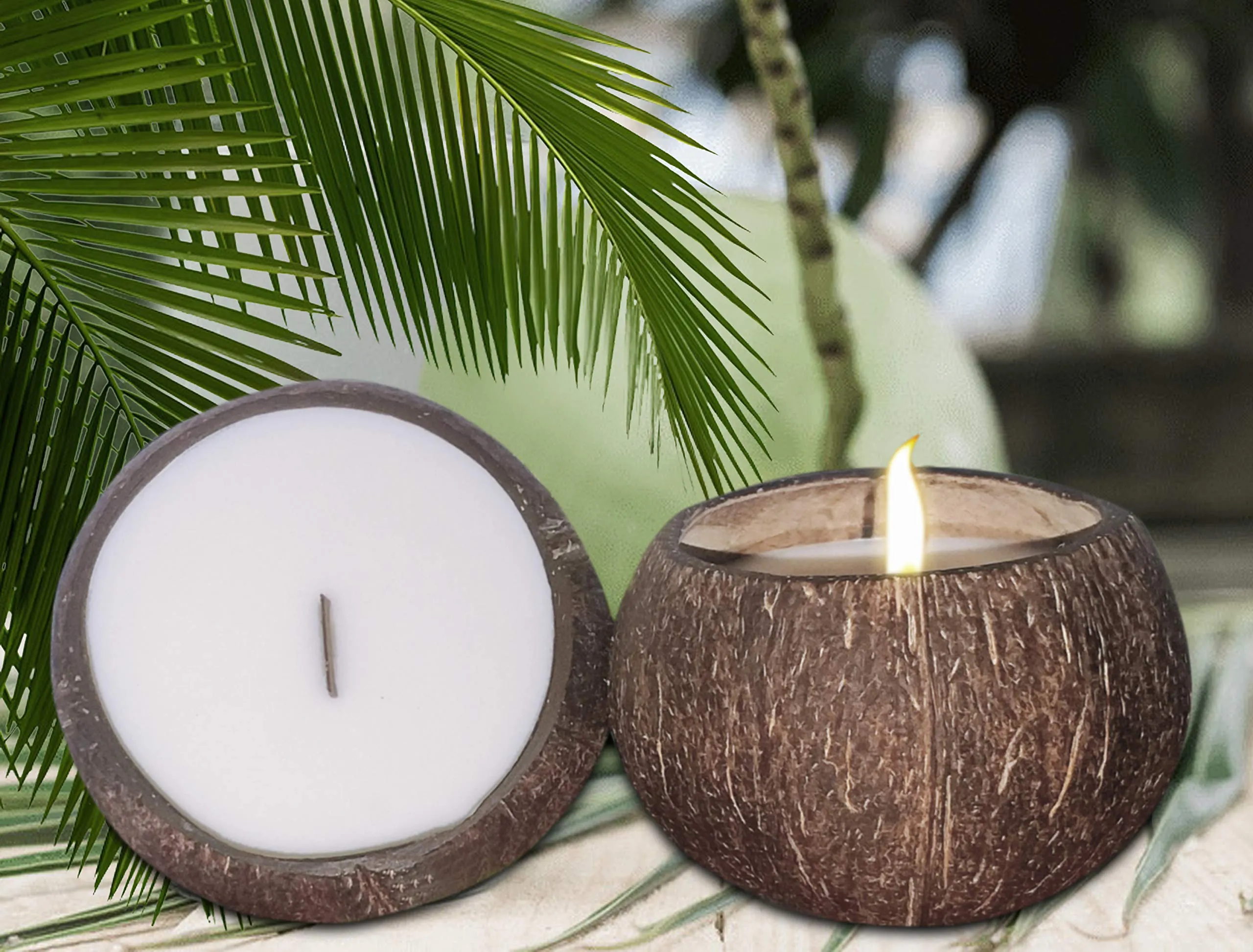 Premium Soy Lemongrass Ginger Candle 14oz in Natural Coconut Shell - Eco-Friendly Aromatherapy