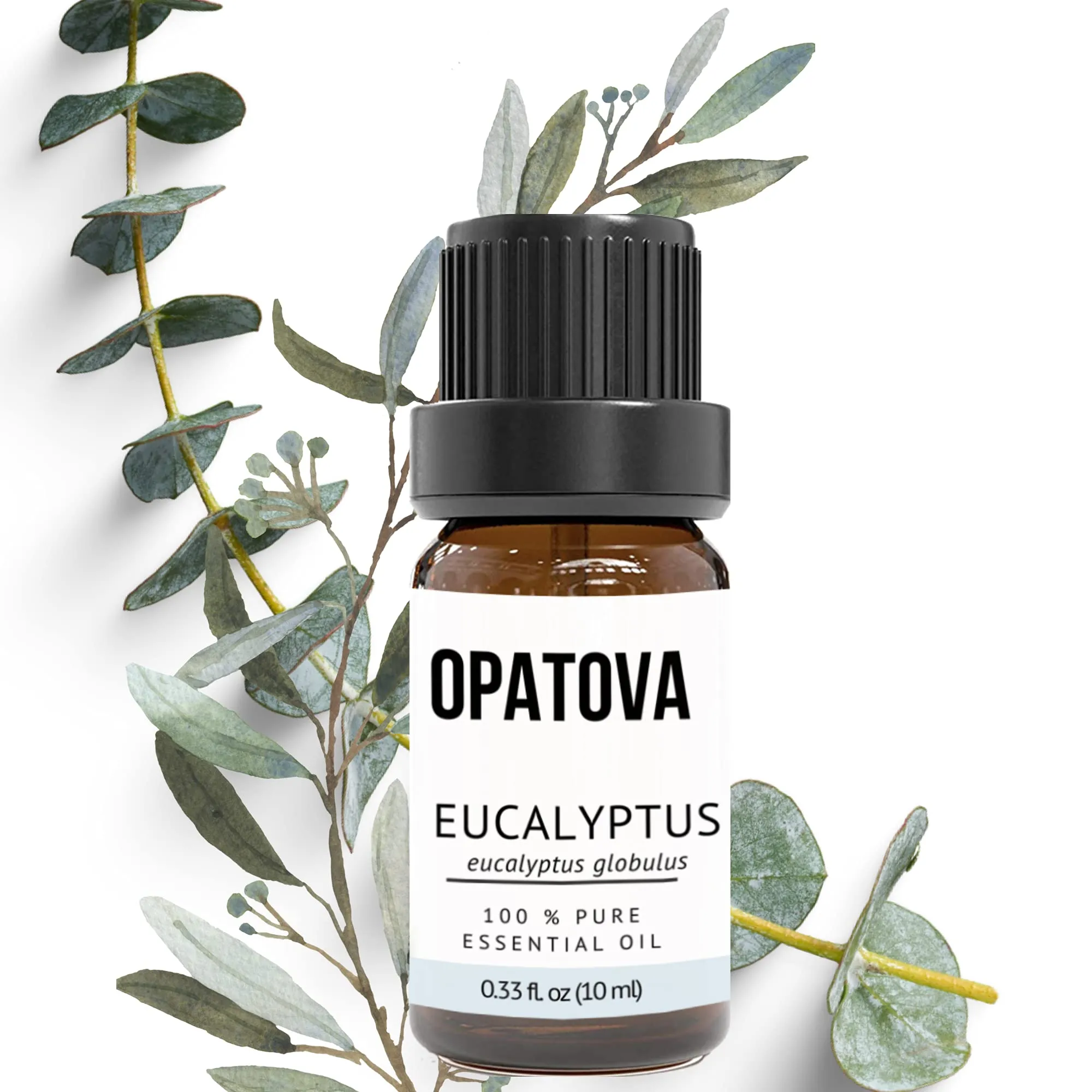 Pure Eucalyptus Essential Oil 100% Natural Undiluted 10ml for Diffuser, Massage & Aromatherapy