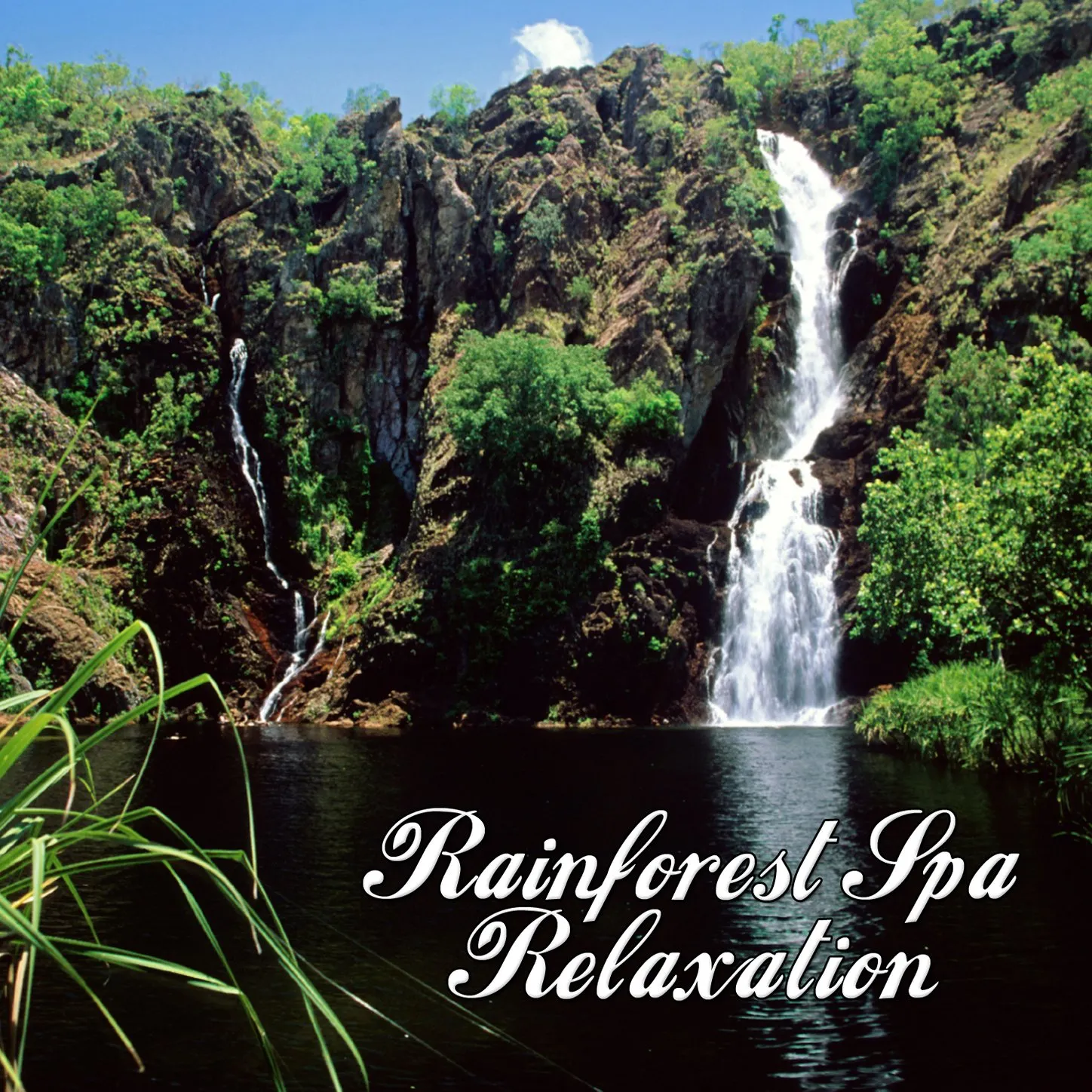 Rainforest Sounds - Relaxing Nature Ambience for Stress Relief & Meditation