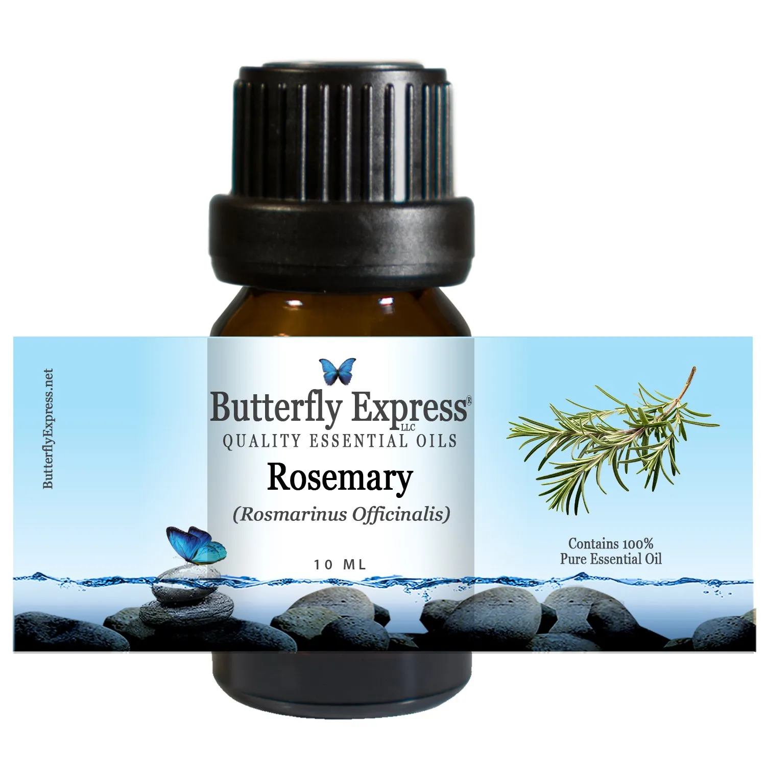 Rosemary Essential Oil 10ml - 100% Pure Aromatherapy Oil by Butterfly Express