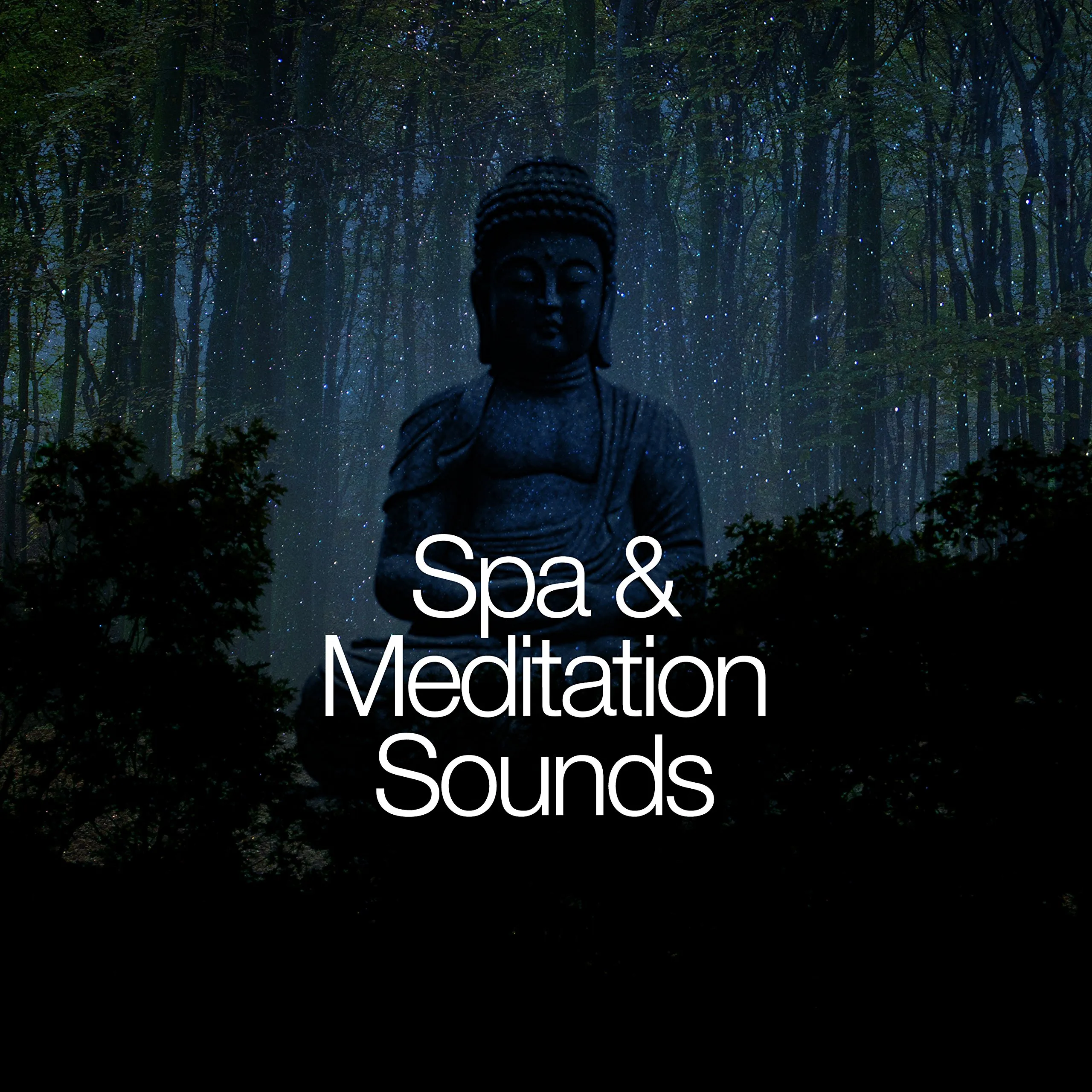 Spa & Meditation Sounds for Ultimate Relaxation - Calming Audio Experience