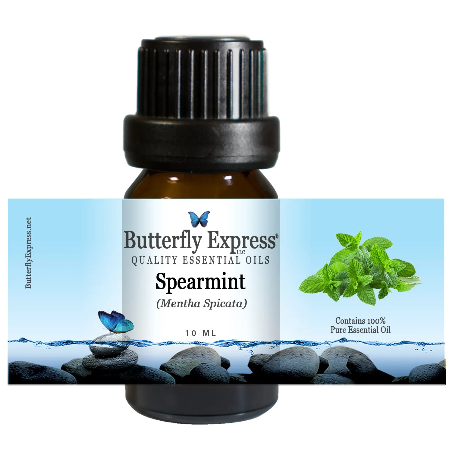 Spearmint Essential Oil 10ml - 100% Pure, Uncut Aromatherapy Oil by Butterfly Express