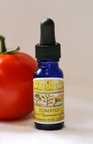 Tomato Flower Essence for Strength & Endurance - 1/2 Ounce