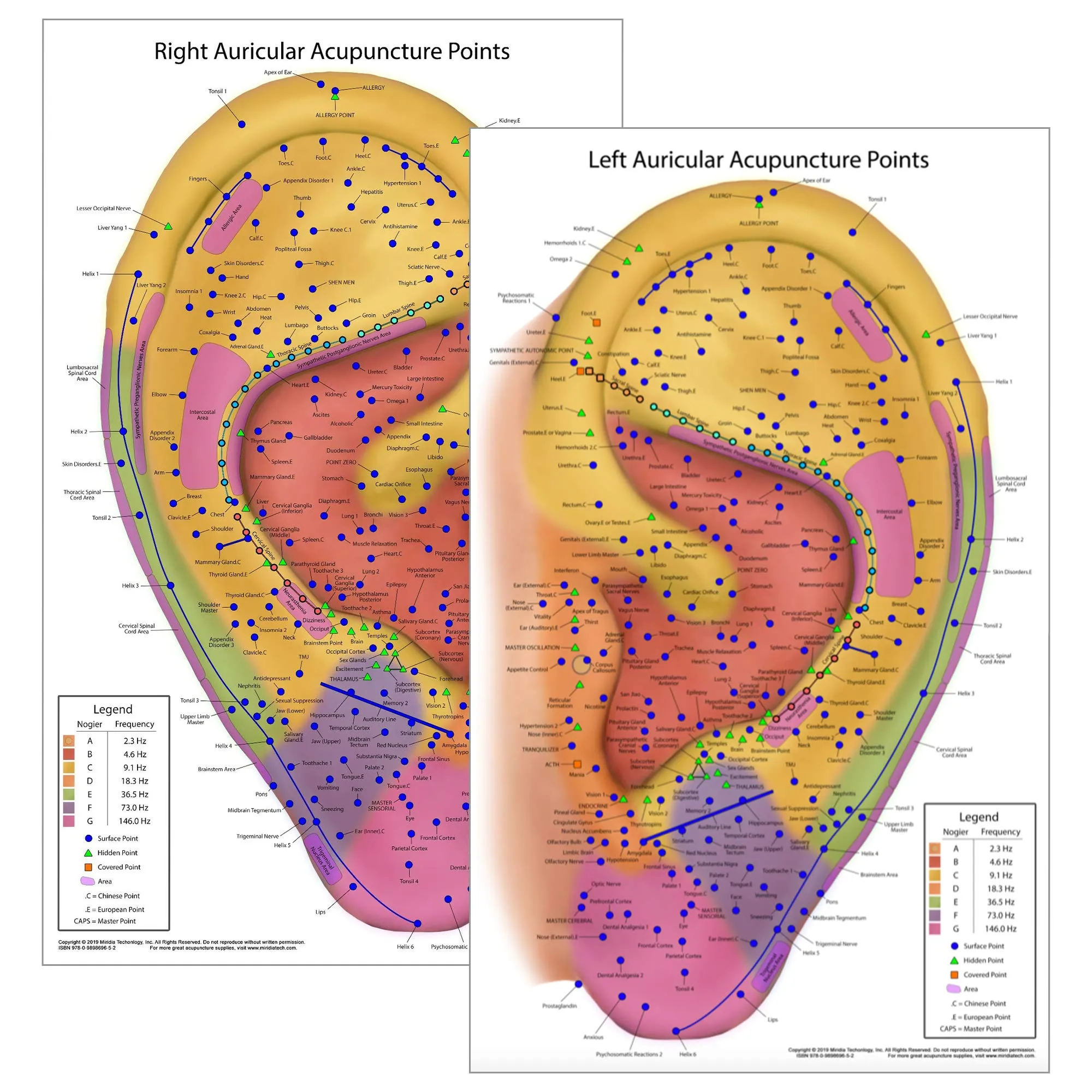 Ultimate Auriculotherapy Reference Card - All Ear Points, Waterproof, 2-Sided, 8.5x14 inches