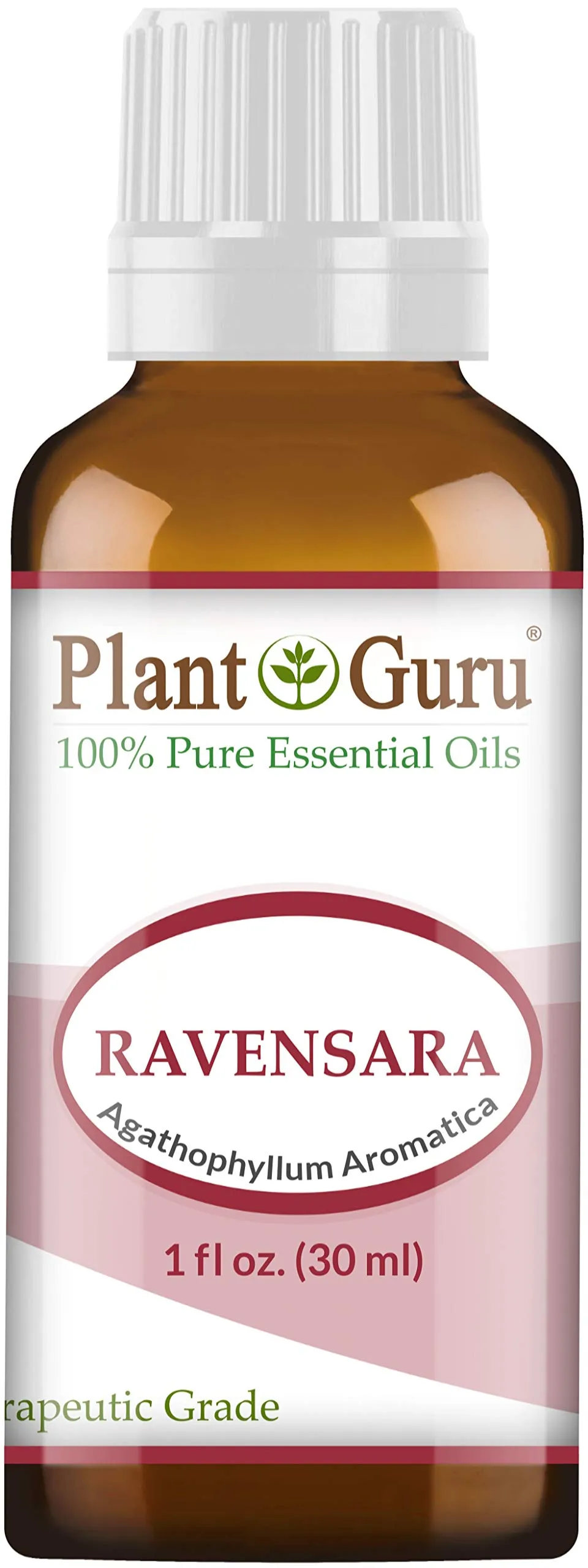 Wild Ravensara Essential Oil 1 oz 100% Pure Therapeutic Grade Agathophyllum Aromatica Madagascar