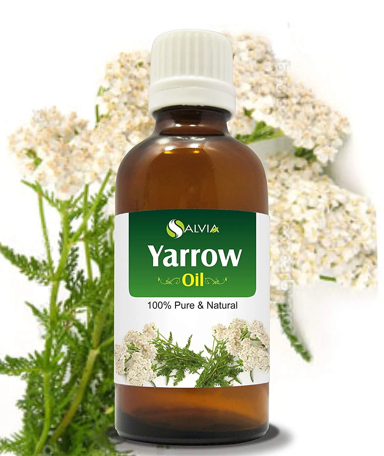 Yarrow Essential Oil 0.5 Fl Oz - Pure, Undiluted, Therapeutic Grade Aromatherapy Oil