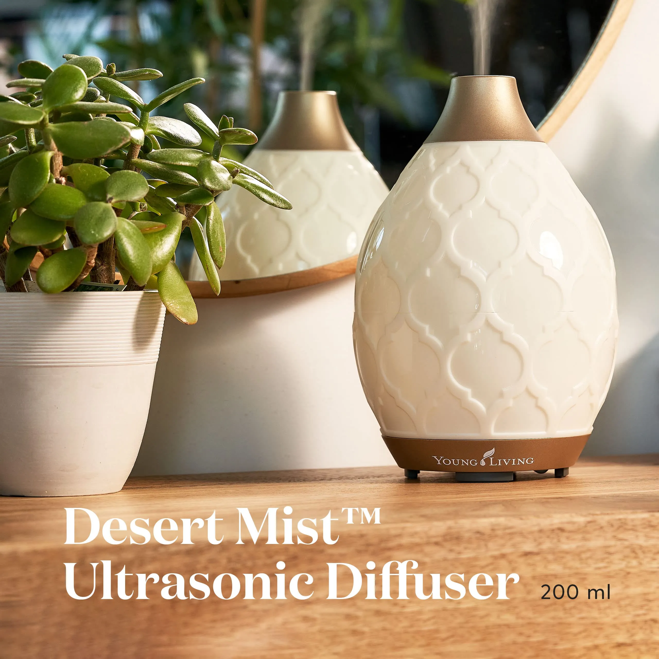 Ultrasonic Aromatherapy & Humidifier